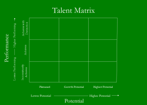 9 Grid Matrix - Talent Matrix5x7